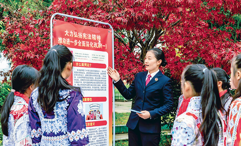 努力建设更高水平的平安中国法治中国(图2)