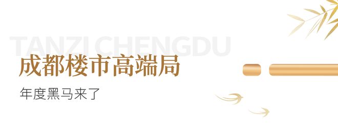 全国奢宅当打之年成都申请“出战”(图3) 全国奢宅当打之年成都申请“出战”(图3)
