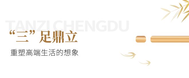 全国奢宅当打之年成都申请“出战”(图9) 全国奢宅当打之年成都申请“出战”(图9)