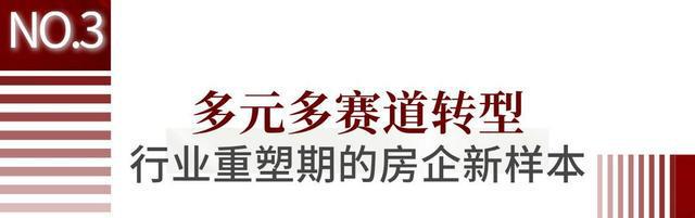 登顶2024保利再一次领先!(图9) 登顶2024保利再一次领先!(图9)