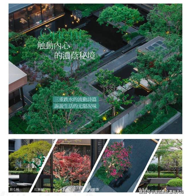 2025保利海上瑧悦(保利海上瑧悦售楼处发布)官方网站-楼盘评测(图32) 2025保利海上瑧悦(保利海上瑧悦售楼处发布)官方网站-楼盘评测(图32)