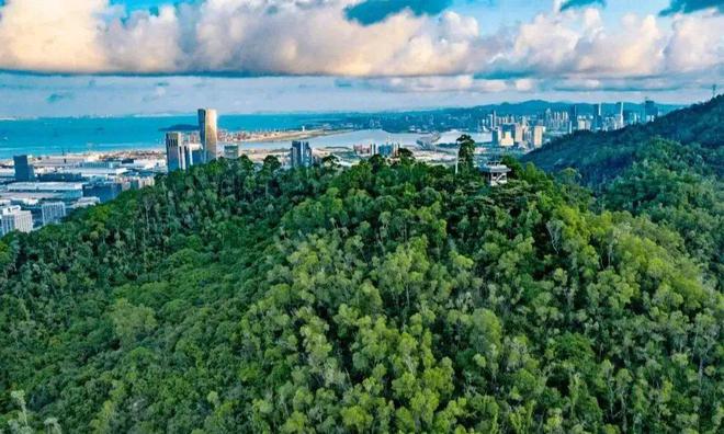ฅ观山海家园ฅ 观山海家园官方售楼处发布:楼盘评测(图21) ฅ观山海家园ฅ 观山海家园官方售楼处发布:楼盘评测(图21)
