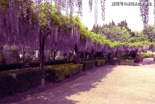 ®保利建发璟玥府 保利建发璟玥府官方售楼处发布： 高性价来袭！(图20)
