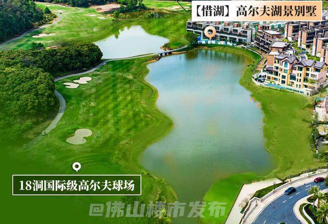 0米亲湖+一线高尔夫!佛山绝版临湖墅预定年度销冠(图6) 0米亲湖+一线高尔夫!佛山绝版临湖墅预定年度销冠(图6)
